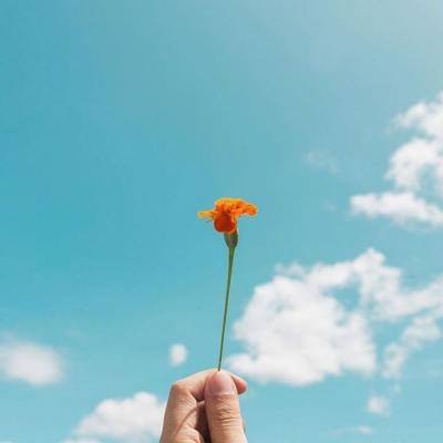 NG体育APP官方下载网址app下载截图